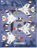Two Bobs F-100C Super Sabre USAFE Skyblazers Decals 1/48 208