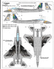 F-15C Eagle, Oregon ANG, 173rd FW, Special Marking Decals 1/72 041